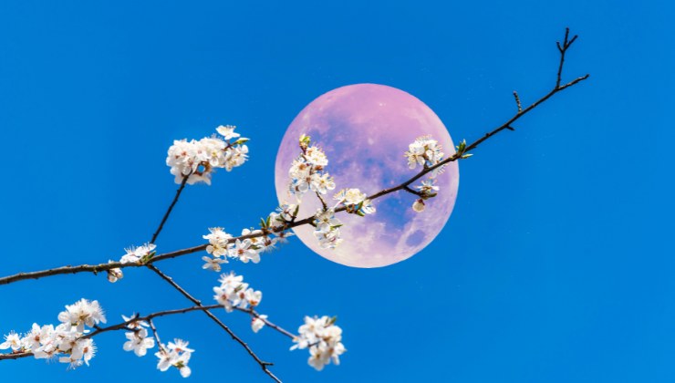 Luna Rosa, quando si potrà ammirare lo spettacolo